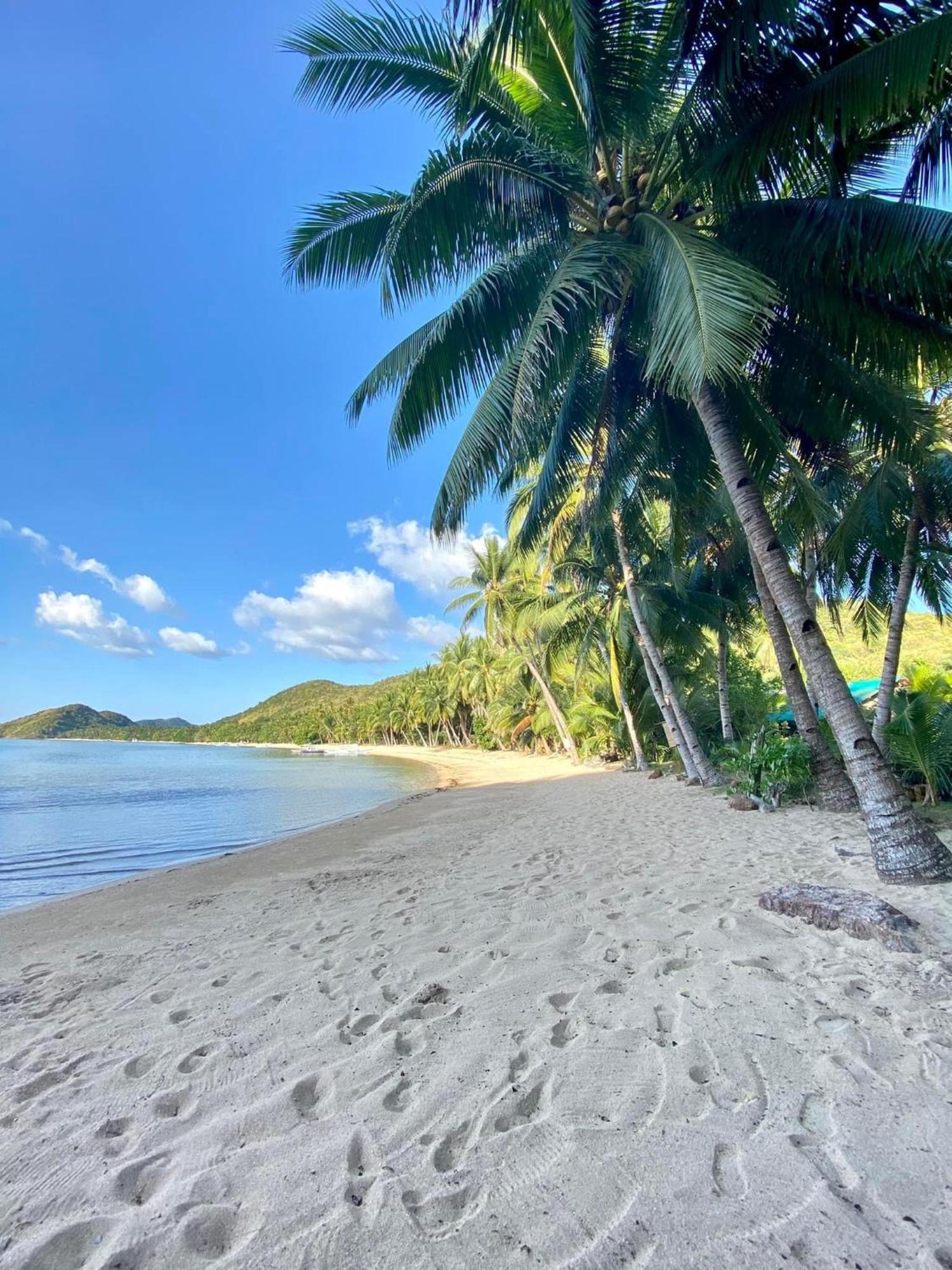 Ocamocam Beach Nature Resort New Busuanga 外观 照片