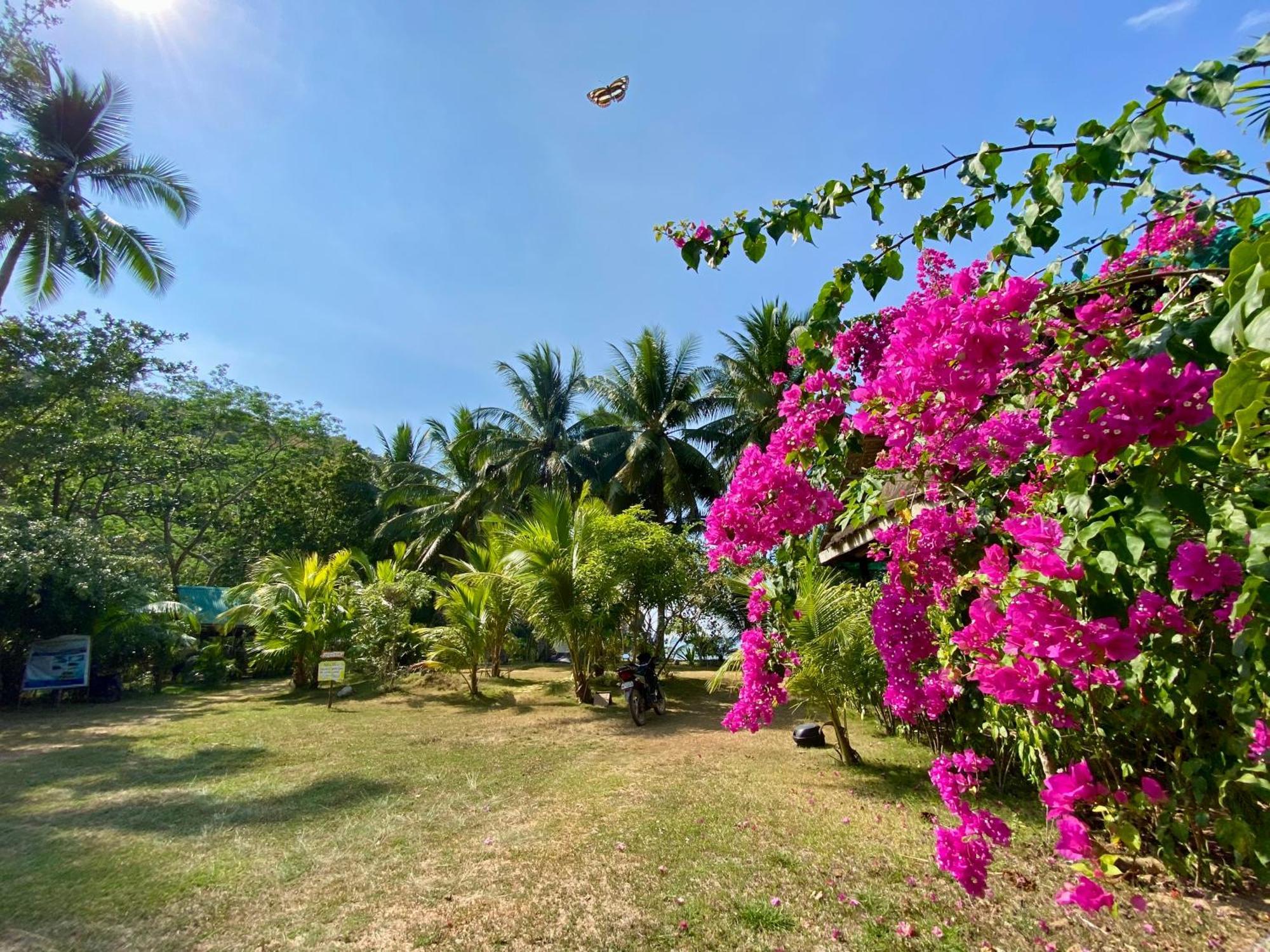 Ocamocam Beach Nature Resort New Busuanga 外观 照片
