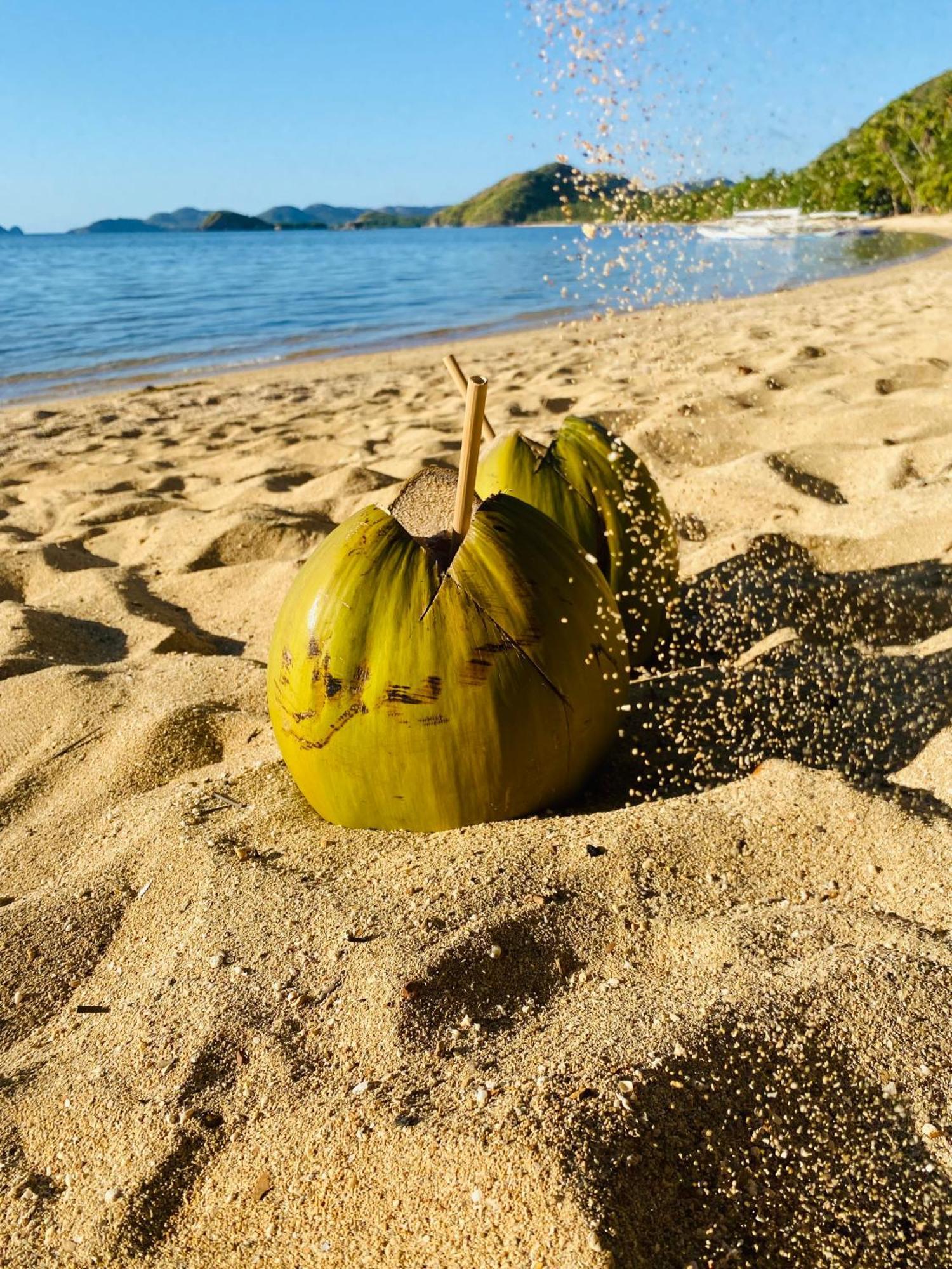 Ocamocam Beach Nature Resort New Busuanga 外观 照片
